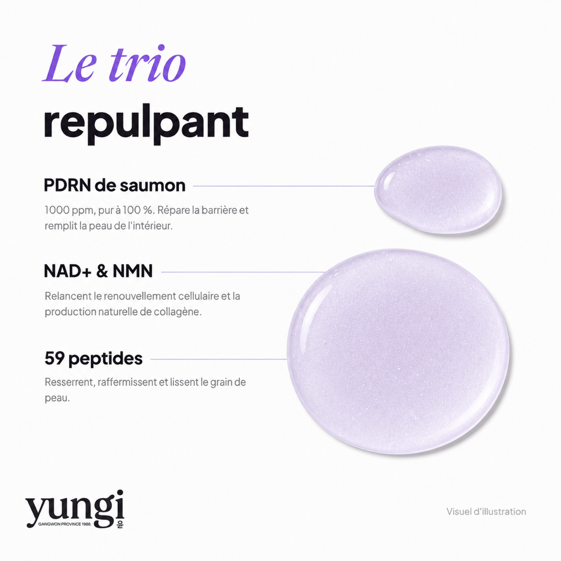 Toner Sérum Repulpant